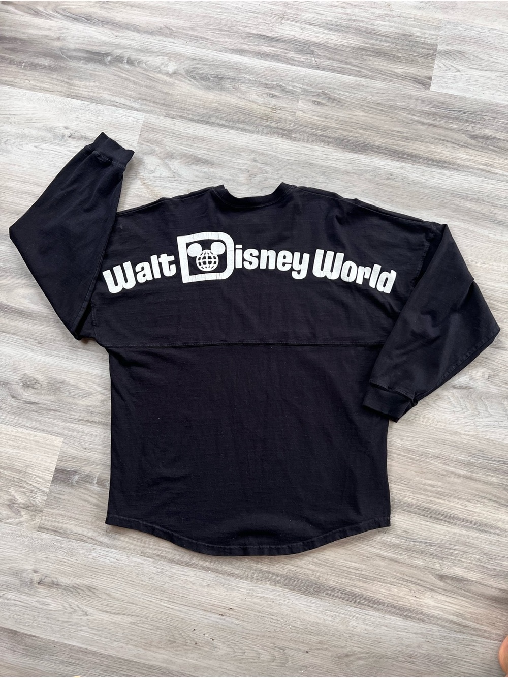 Walt Disney World Spirit Jersey